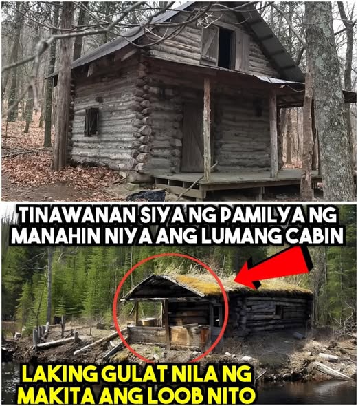 Pinagtawanan ang Natanggap na Lumang Cabin—Hindi Nila Alam ang Nakatagong Katotohanan