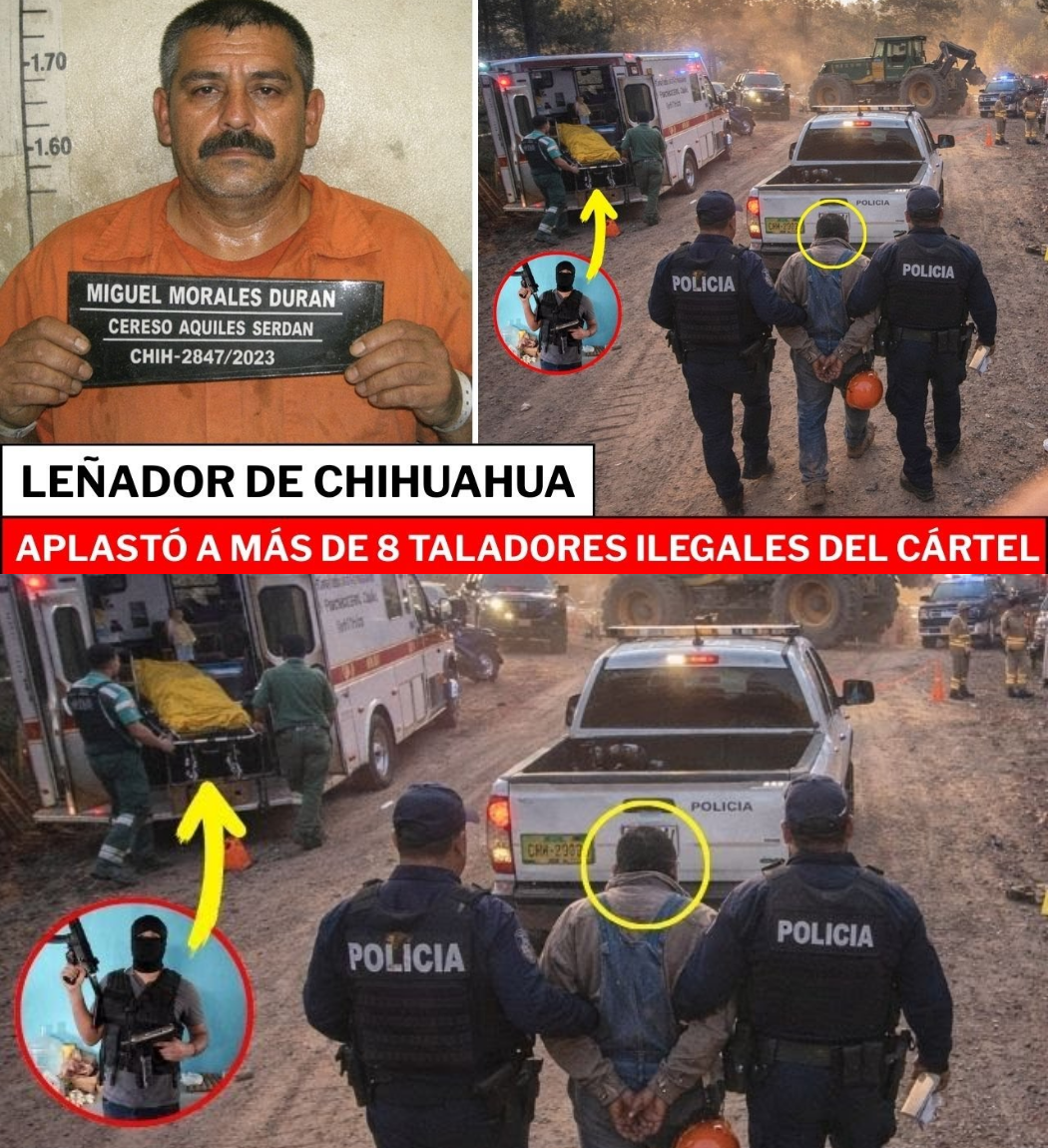 ANG PAGHIHIGANTI NG ‘LEÑADOR JUSTICIERO’: PAANO DINUROG NI MIGUEL MORALES ANG WALONG MIYEMBRO NG KARTEL GAMIT ANG LOGGING TRUCK SA CHIHUAHUA