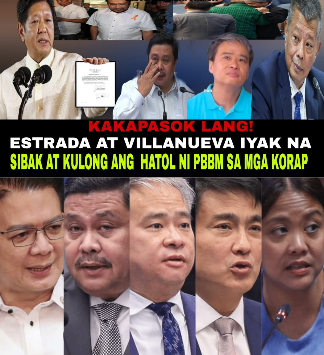 ANOMALYA SA FLOOD CONTROL: VILLANUEVA AT JINGGOY ESTRADA, POSIBLENG HUMARAP SA HABAMBUHAY NA PAGKAKULONG AT PAGKASIBAK SA PWESTO