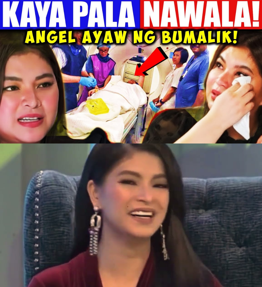 Ang Tunay na Kwento sa Likod ng Katahimikan: Ang Buhay, Pagsubok, at Legasiya ni Angel Locsin