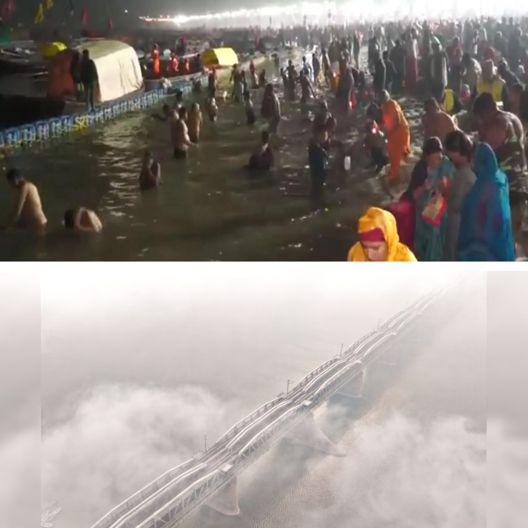 Chaos at Prayagraj Magh Mela 2026 as a Group of Snakes Suddenly Appears, Devotees Left in Shock