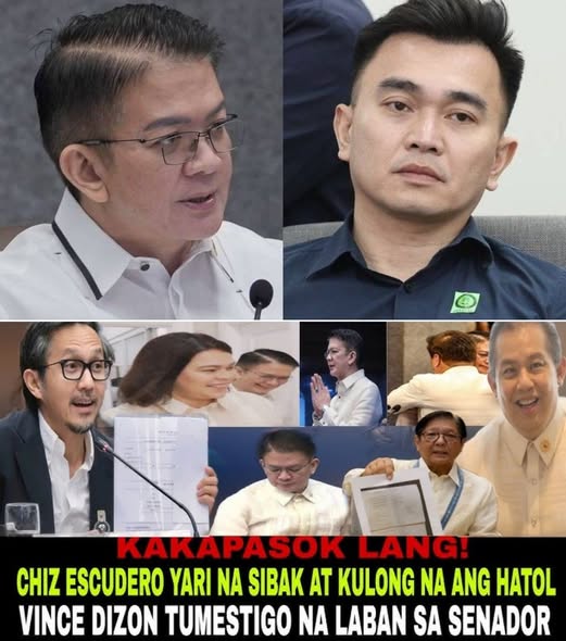 Mainit na Sagutan sa Senado: Chiz Escudero at Vince Dizon Nagharap sa Isyu ng Flood Control Controversy