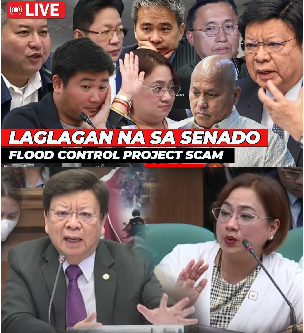Pagsabog sa Senado: Isang Sorpresang Whistleblower ang Nagbunyag ng Lihim na Mastermind sa Likod ng Multi-Bilyong Korapsyon sa Web