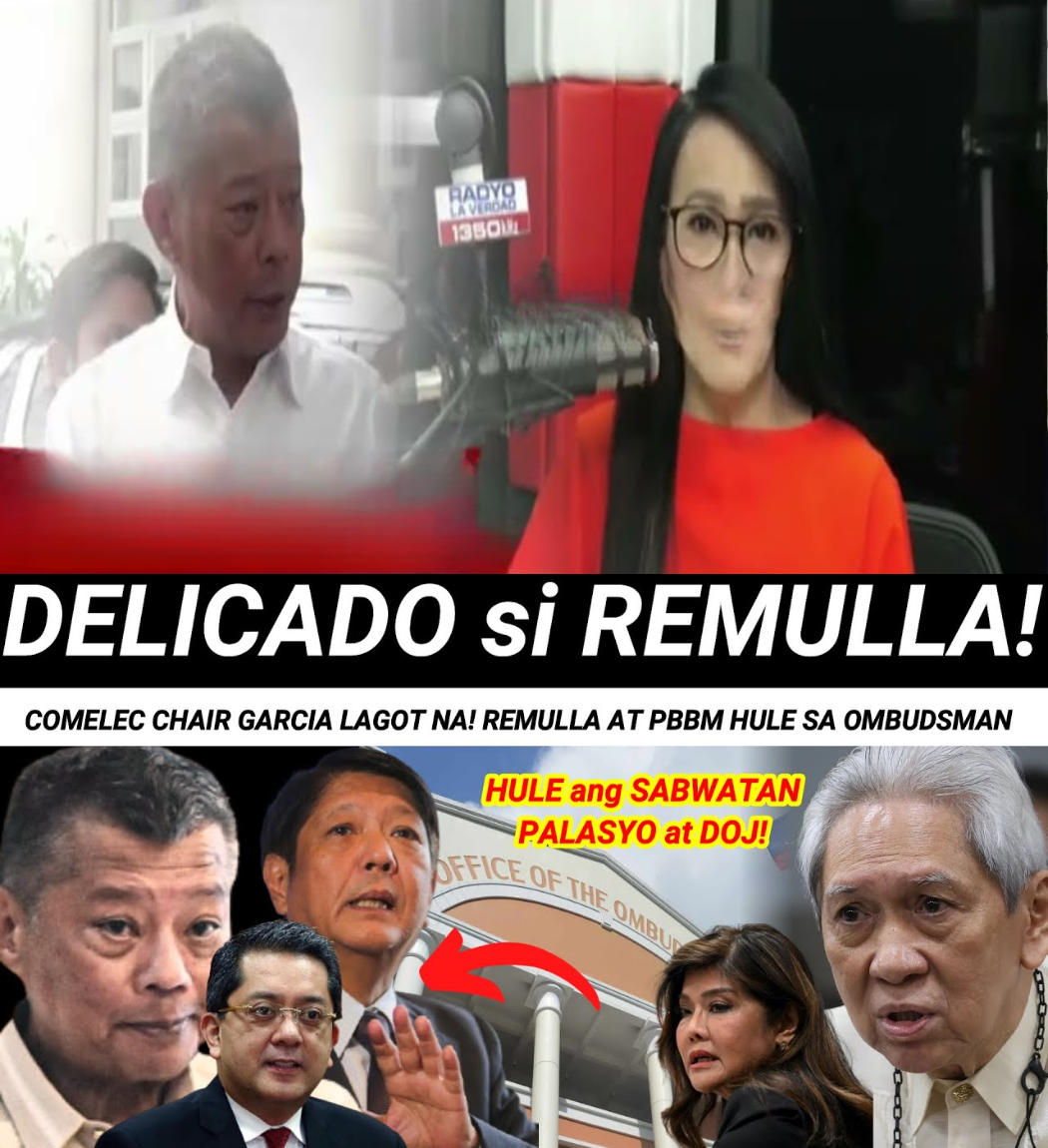 Ang Gambit ng Ombudsman: Tinutukan ni Joey Chua Uy si COMELEC Chair George Garcia bilang “Ang Plano” na Kinasasangkutan nina Remulla at PBBM Surfaces