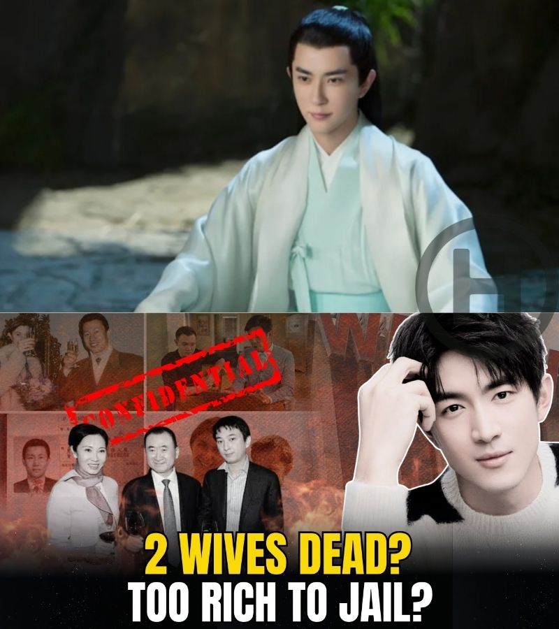 Blood, Wealth, and Silence: Is Lin Gengxin’s Family Hiding a Dark Secret?