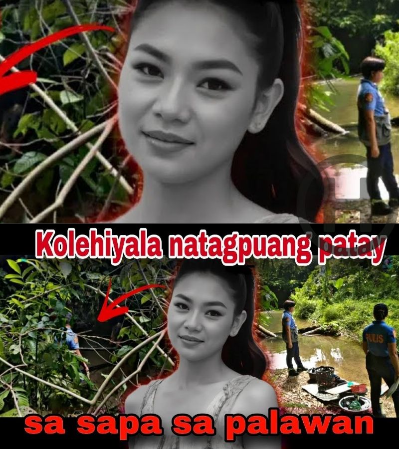 Tragic Discovery in Palawan: The Story of Jemarie Misajun (NH)