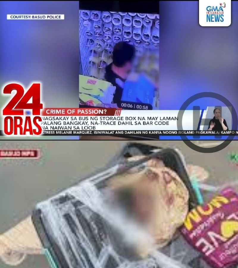 THE COFFIN IN THE CARGO HOLD: A CHRONICLE OF THE STORAGE BOX MURD3R (NH)