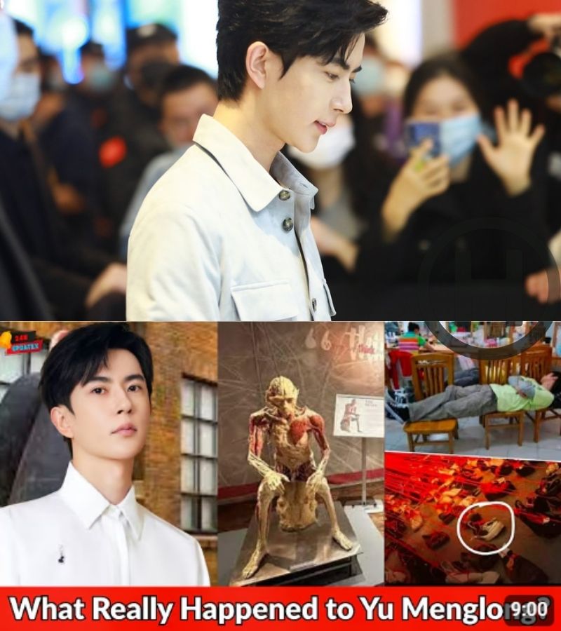 BEYOND THE FALL: THE ORCHESTRATED BETRAYAL OF YU MENGLONG (NH)