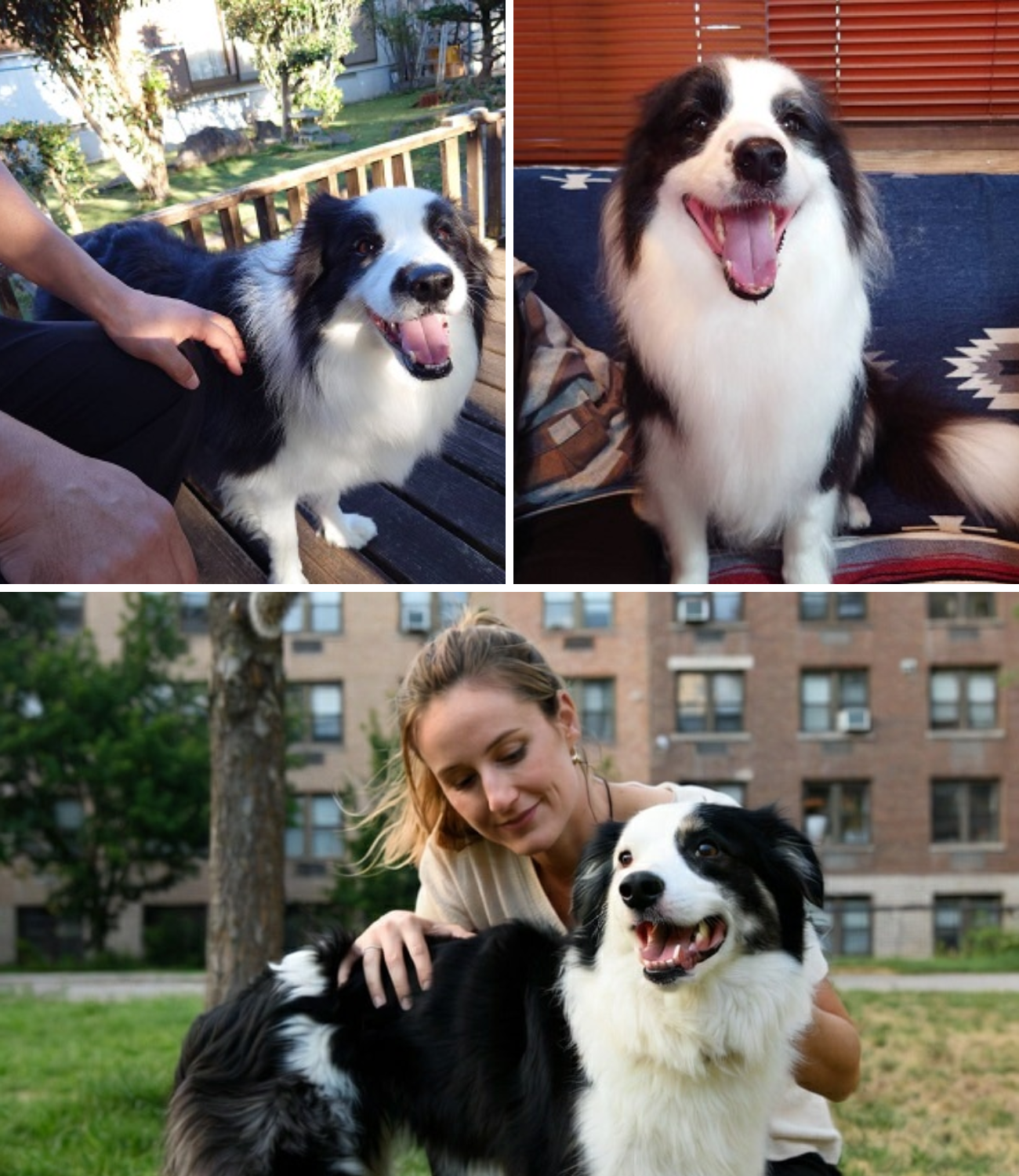 Kinansela ang Kasal – Wala Nang Iba Pang Tanong