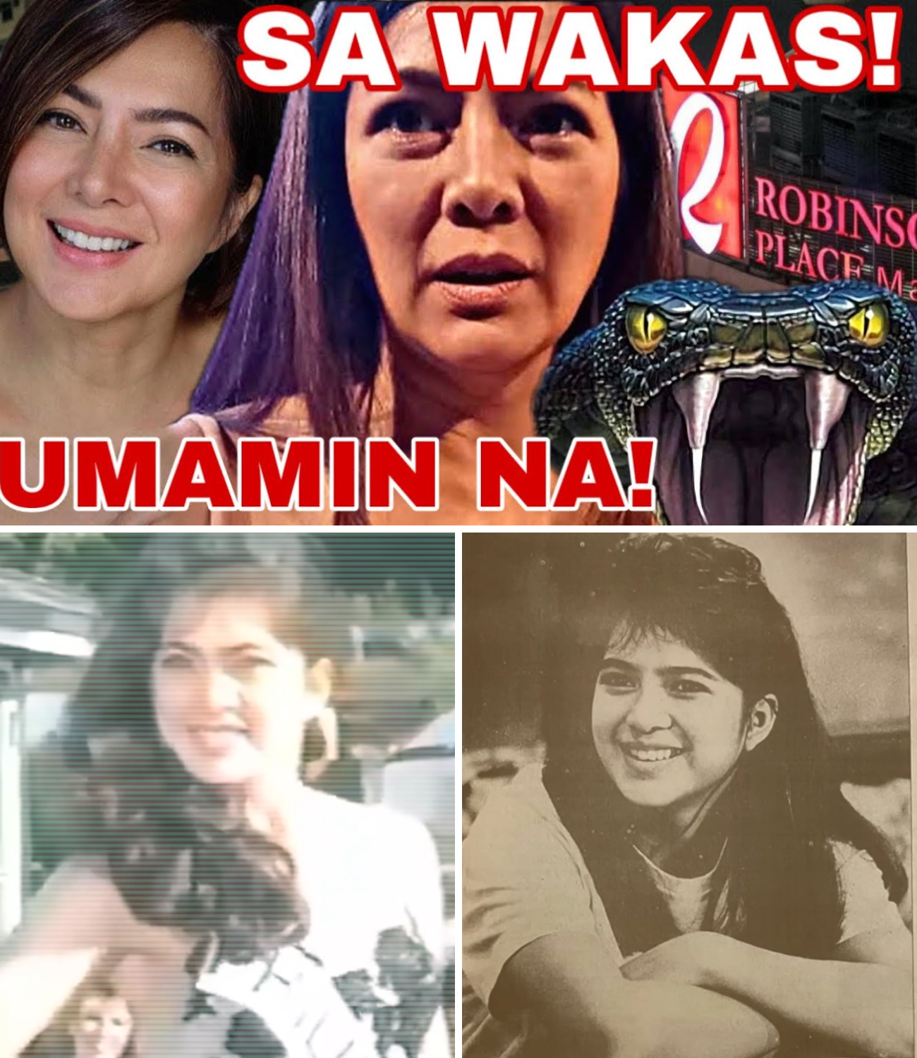 Alice Dixson, Nagbukas ng Katotohanan: Ang Kuwento sa Likod ng Isang Matagal Nang Alamat sa Robinsons