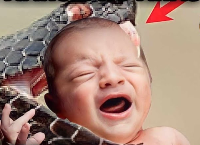 UMIYAK ANG BAGONG SILANG NA SANGGOL NG MAHULI NG AHAS MAGUGULAT KA SA GINAWA NG PUSA