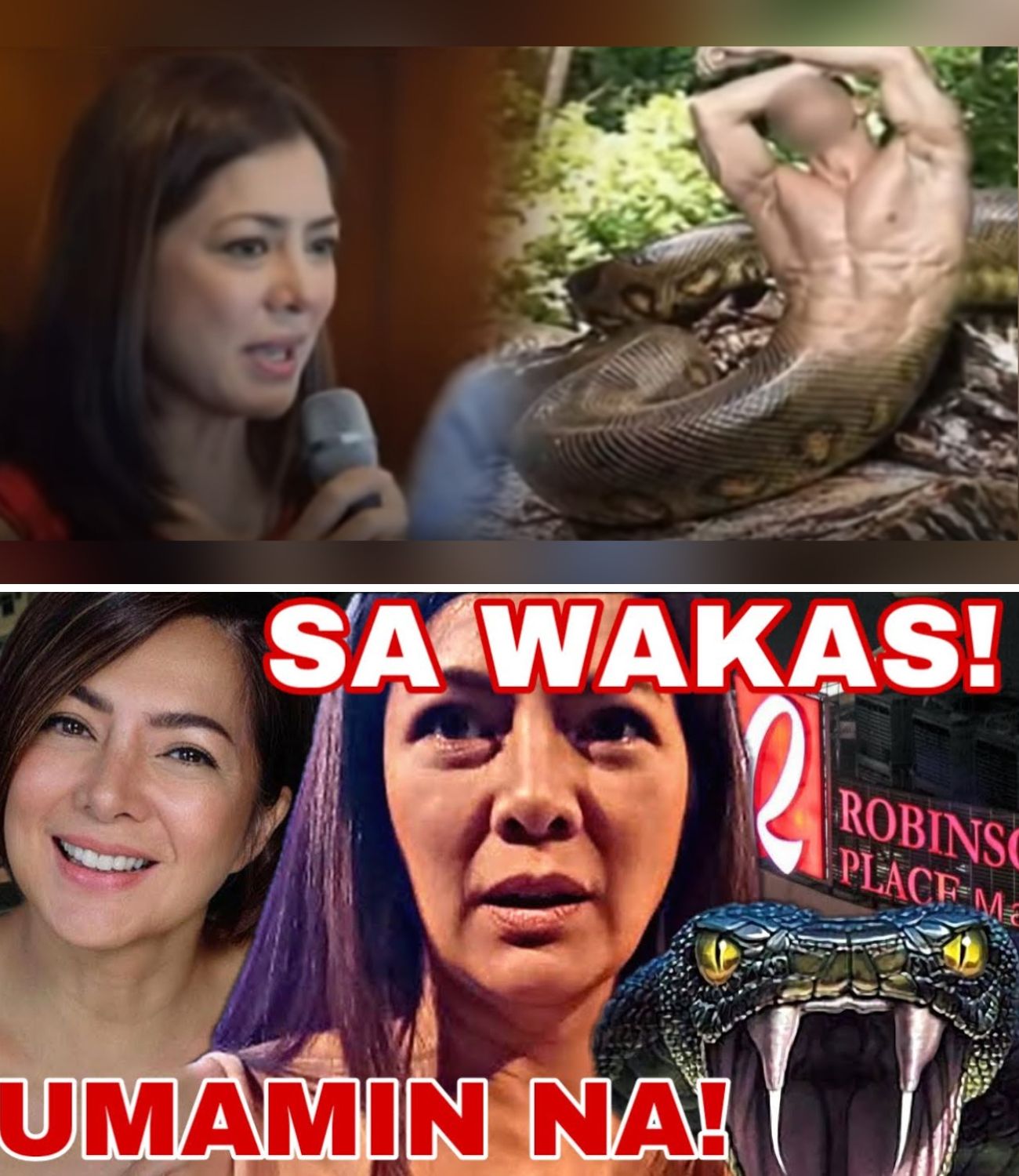 Alice Dixson: Ang Pagbasag sa Katahimikan Tungkol sa ‘Robinsons Snake’ at ang Tunay na Kwento sa Likod ng Kaniyang Walang Kupas na Ganda