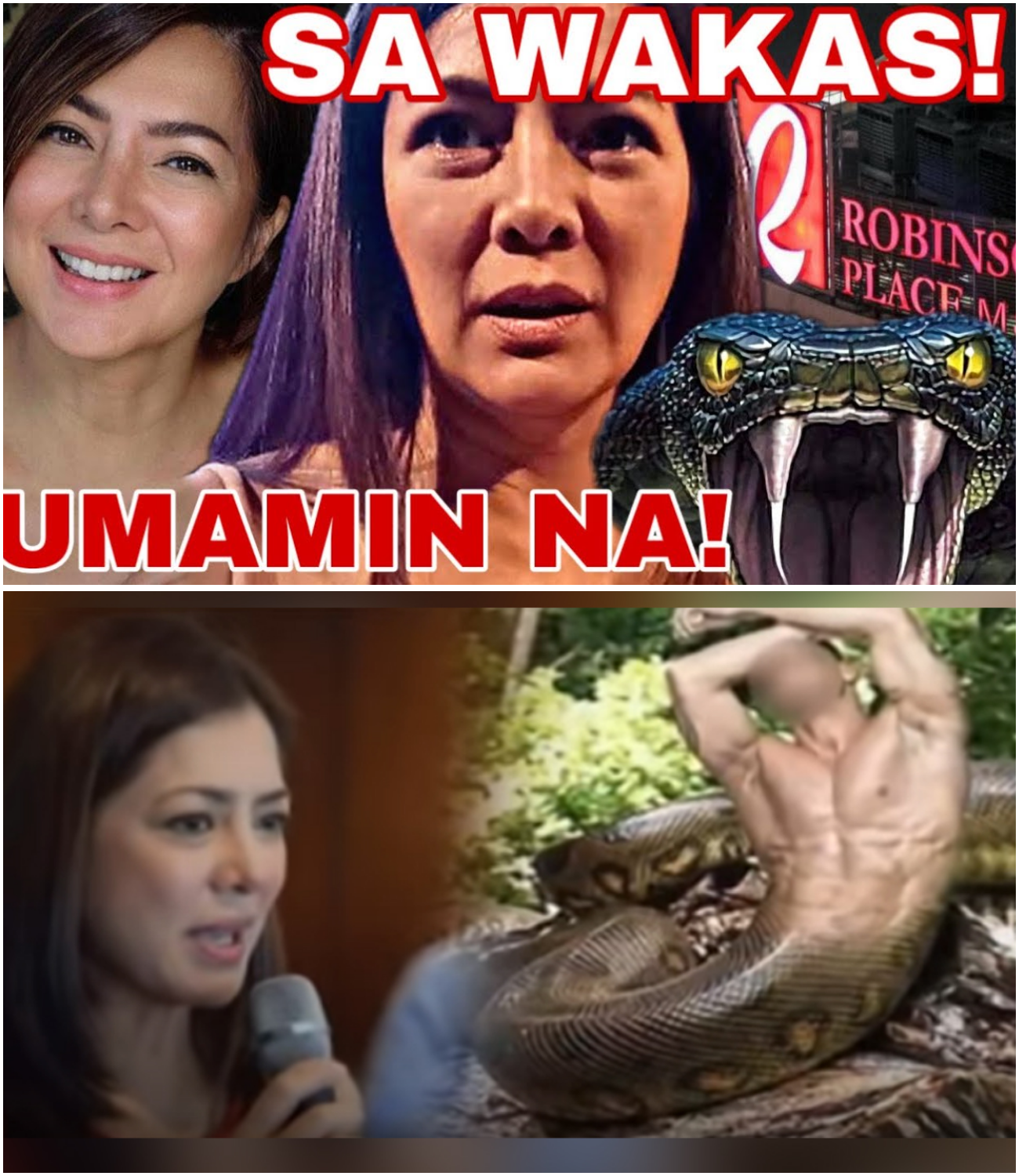 Heto na si Alice Dixson Ngayon: May Inamin Tungkol sa “Taong Ahas” na Umano’y Nakita sa Robinsons