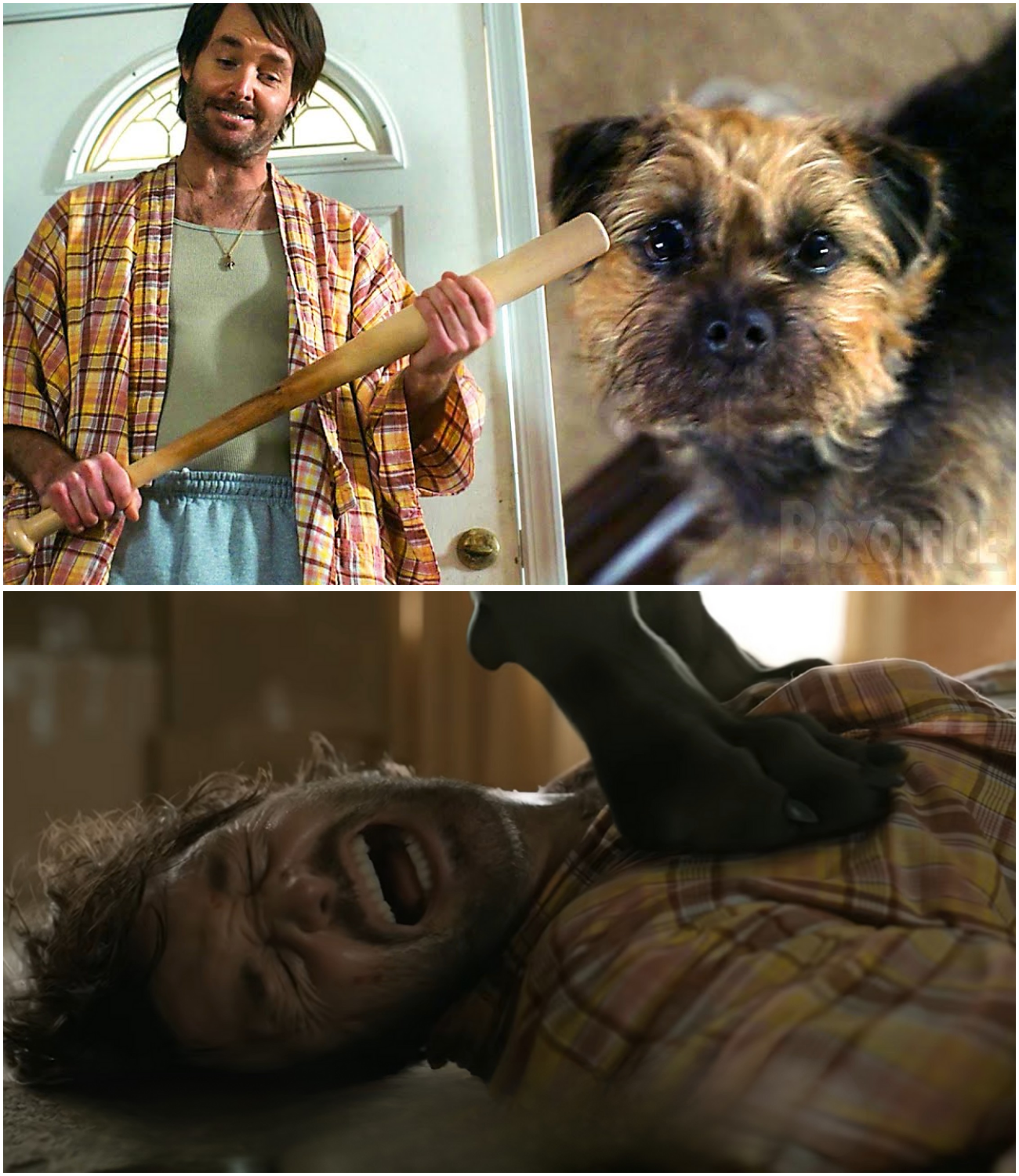 Huling Ganti ng Aso: Ang Matamis na Paghihiganti sa Huling Eksena ng Strays na Nagpaiyak at Nagpagalit sa mga Manonood