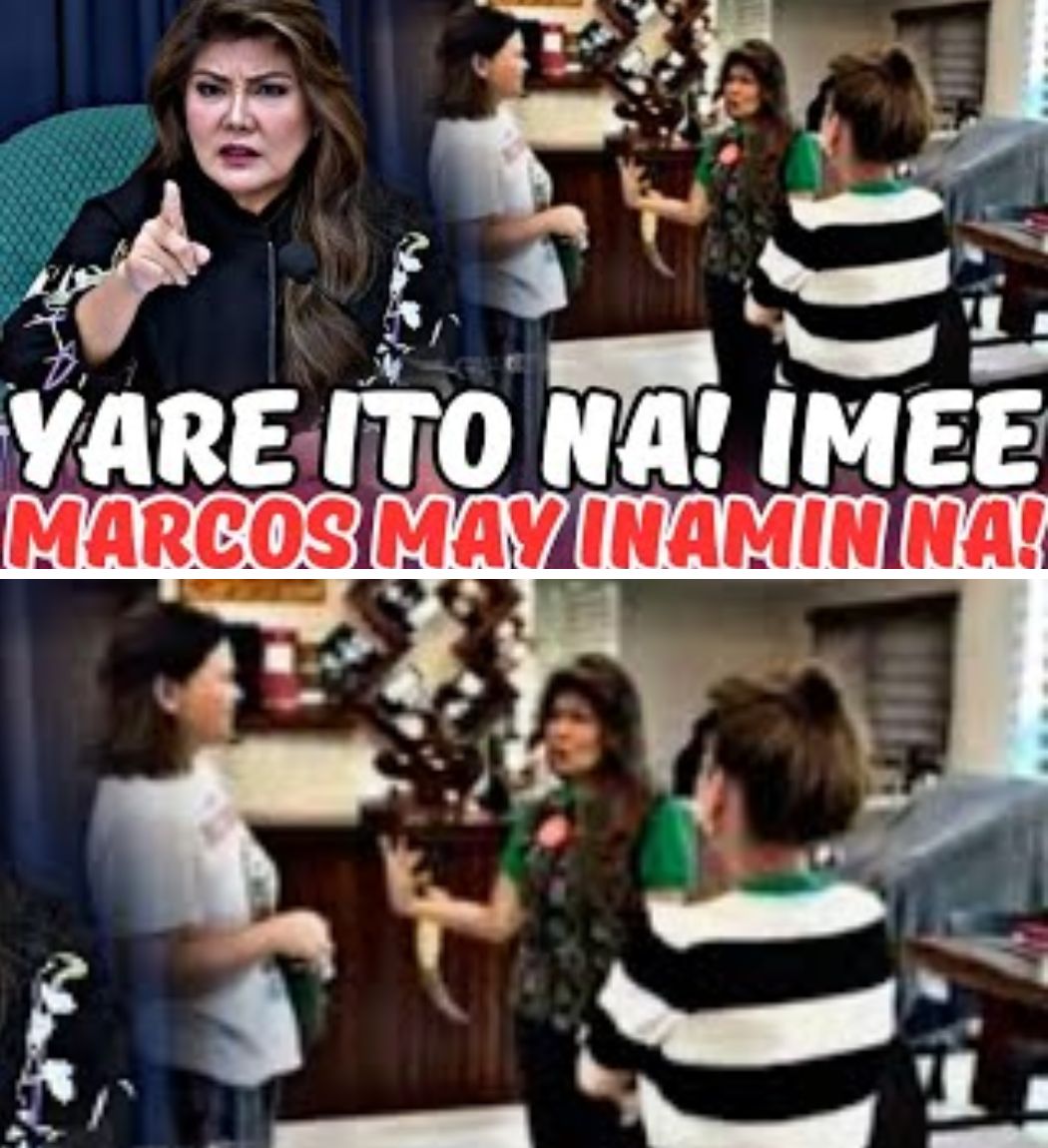 Enero 15 Judgement Day: Imee Marcos, Ibinunyag ang Listahan ng mga Senador at Kongresistang Posibleng Makulong Dahil sa Korupsyon!