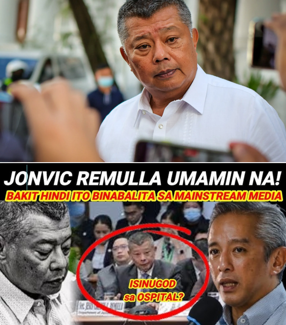 Buhay na Buhay Ba si Ombudsman Boying Remulla? Sa Likod ng Katahimikan, Fake News, at Lumalaking Pagdududa