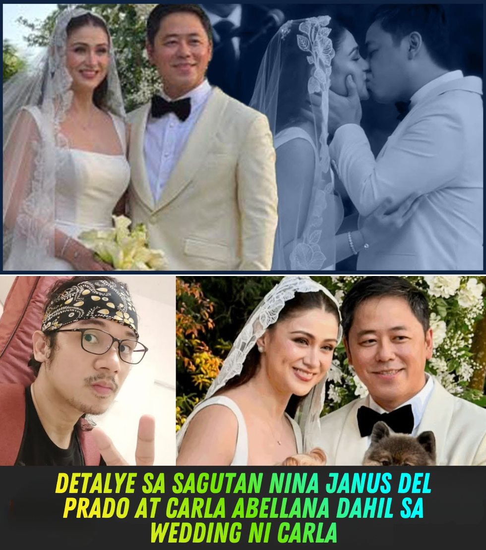 Viral na Sagutan sa Wedding ni Carla Abellana: Janus Del Prado Pinuna ang Cake at Tinawag na Maldita ang Bagong Kasal