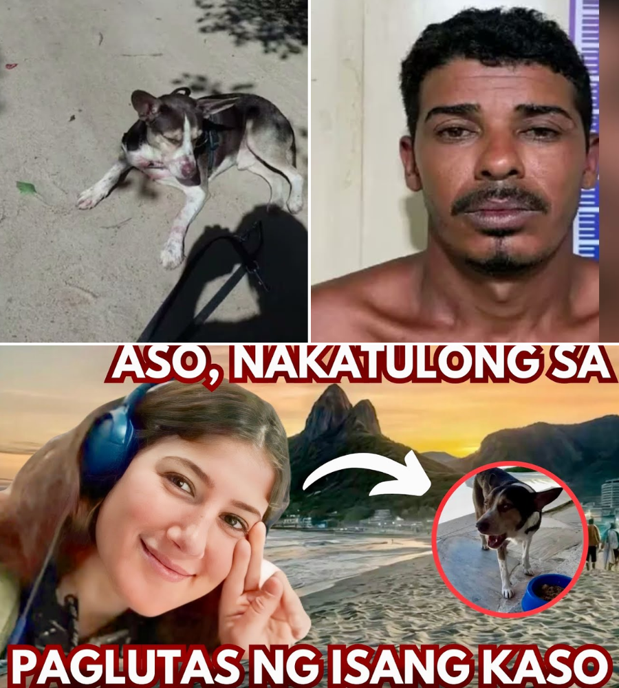 Ang Kwento ni Florencia Arangurin: Trahedya, Katapatan ng Aso, at Paghuli sa Isang Mapanganib na Kriminal