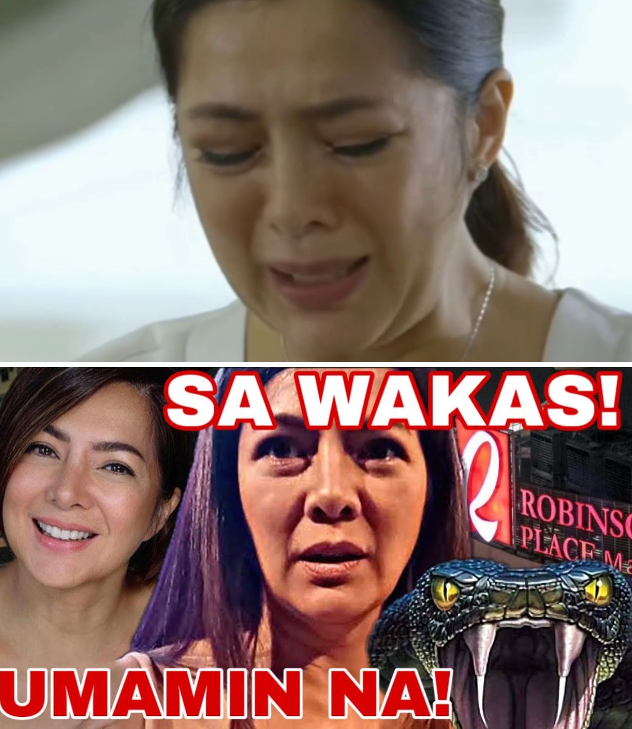 GULAT ANG LAHAT: Alice Dixson, Binasag na ang 30 Taong Katahimikan at Ibinunyag ang Buong Katotohanan Tungkol sa Legend ng “Taong Ahas” na Nagpakilabot sa Buong Henerasyon