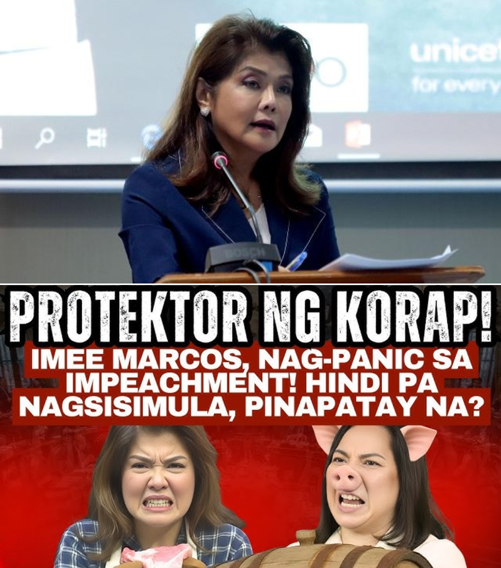 Panic sa Impeachment? Imee Marcos Binatikos ang 2026 Budget at Nagbabala sa Malawakang Sibakano sa Politika Ngayong Enero habang Binubuhay ang Isyu ng Soft Pork at Ayuda Scam