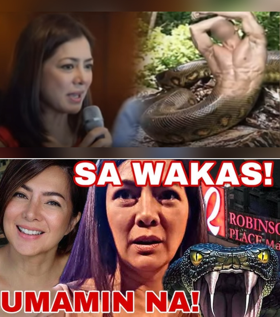 Alice Dixson May Rebelasyon sa Urban Legend ng Taong Ahas sa Robinsons: Balikan ang Makulay na Buhay at Karera ng Iconic Beauty Queen