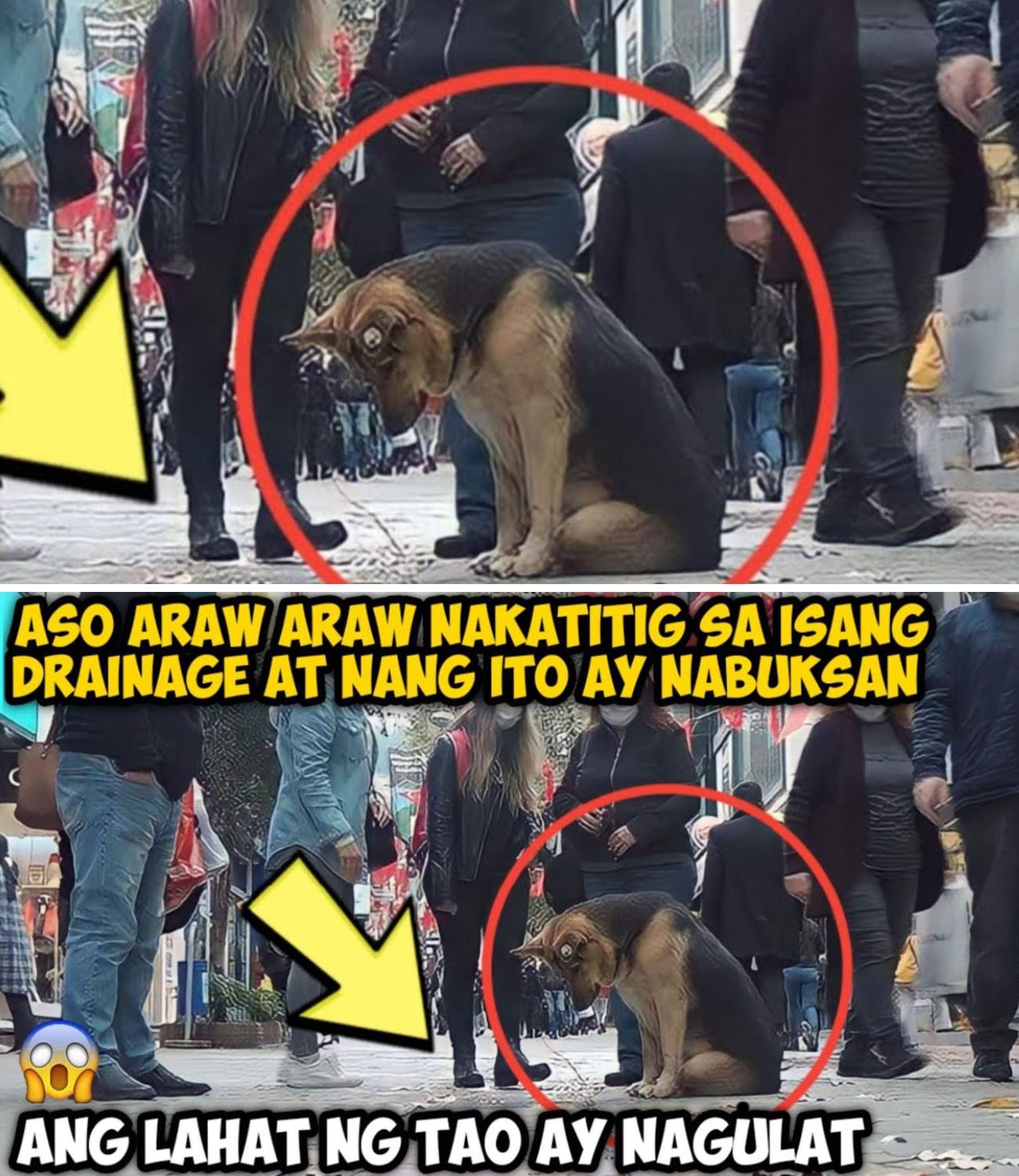 ASO ARAW ARAW NAKATITIG SA ISANG DRAINAGE AT NANG ITOY NABUKSAN, ANG LAHAT NG TAO AY NAGULAT