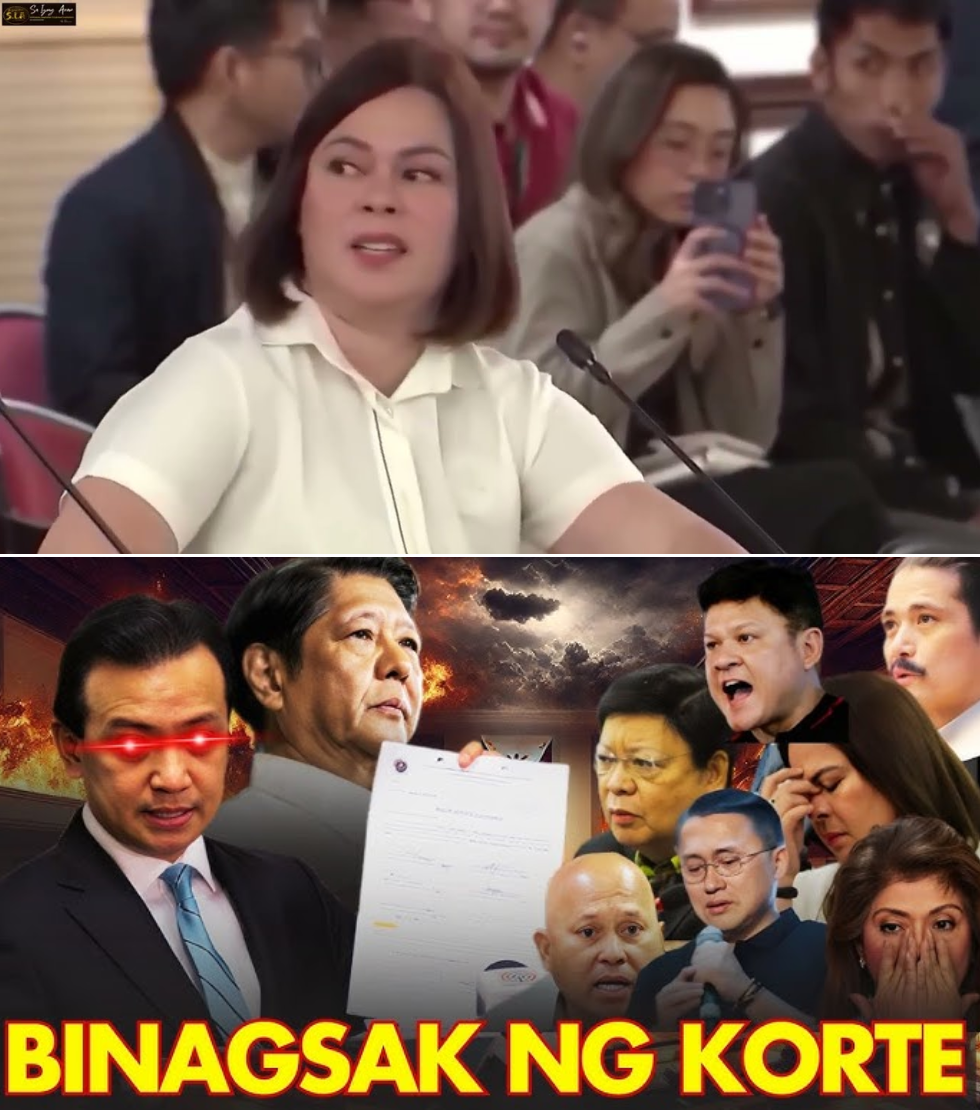 BISTADO NA! Ang Lihim na Desisyon ng Korte Suprema na Yayanig sa Senado at Magbubukas sa Bank Accounts ni VP Sara!