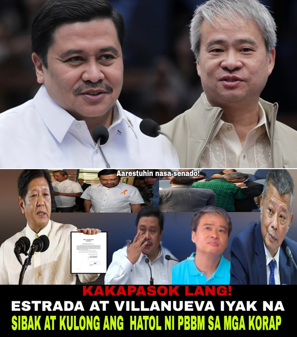 VILLANUEVA, JINGGOY, AT BONG REVILLA, NANGANGANIB NA MASIBAK SA PWESTO AT MAKULONG NG HABAMBUHAY DAHIL SA FLOOD CONTROL SCAM!