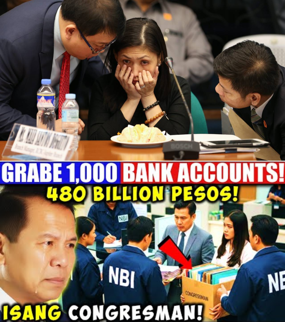 P480 BILYON, 1,000 BANK ACCOUNTS, AT MGA MANSYON: Ang Kaginbal-gimbal na Kwento ng Frozen Assets ni Congressman Edwin Gardiola at ang Koneksyon sa Pera ng Bayan