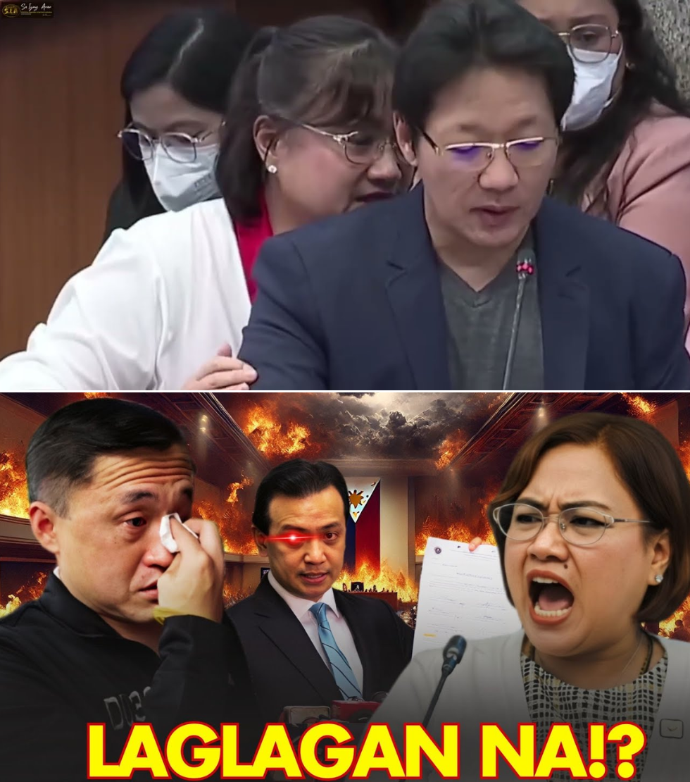 TRILLANES NAGPASABOG: “ROYALTY” LANG ANG SA DISCAYA? PAMILYA NI BONG GO, ITINUTURO NA TUNAY NA “BACKER” SA DAMBUHALANG FLOOD CONTROL SCAM!