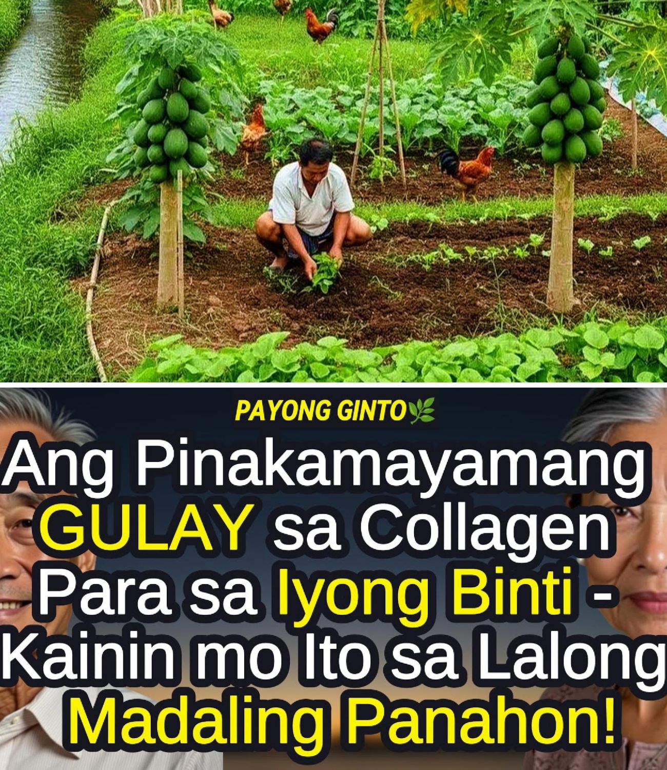 GULAT ANG LAHAT! 8 GULAY NA PAMPABATA AT PAMPALAKAS NG TUHOD NA NASA KUSINA MO LANG PALA—SENIORS, BASAHIN NIYO ‘TO!