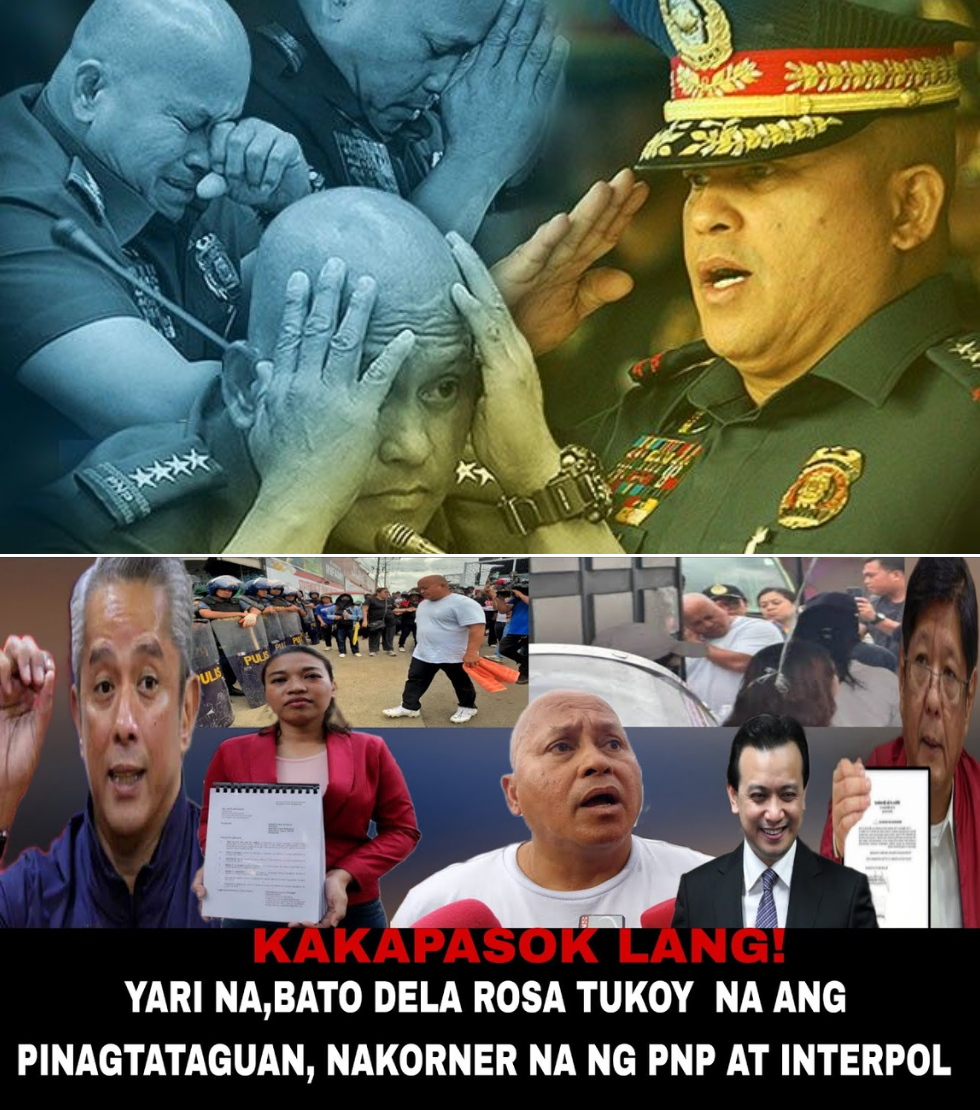 BATO DELA ROSA, YARI NA? Warrant of Arrest mula sa ICC, Kinumpirma ni Remulla at Nakita Mismo ng Isang Analyst!