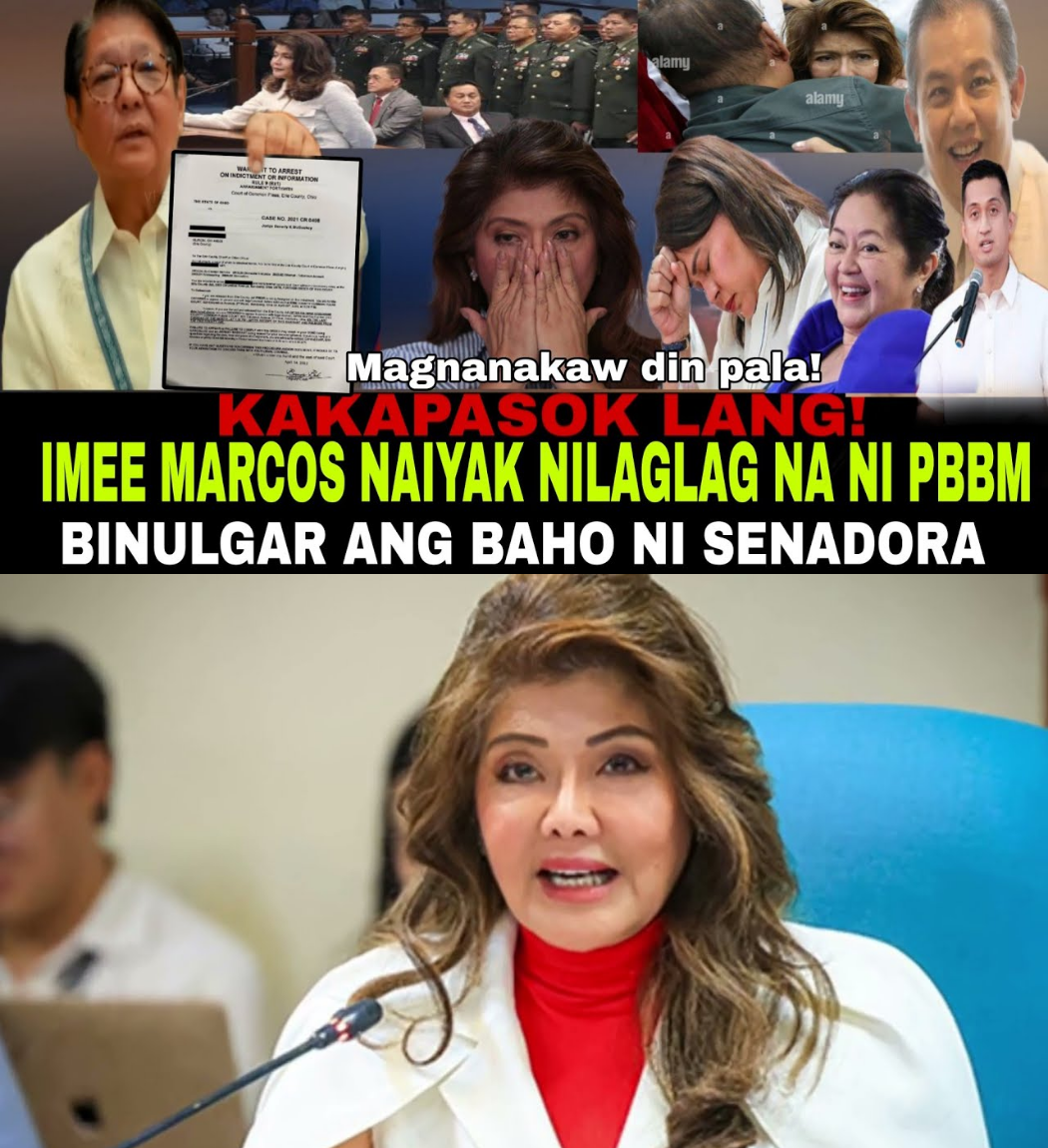 ANG PAGLUHA NG ISANG INA AT ANG BIGAT NG EBIDENSYA: ANG KONTROBERSYAL NA ISYU NI MATTHEW MANOTOC AT ANG 550 MILYONG PISONG PROYEKTO